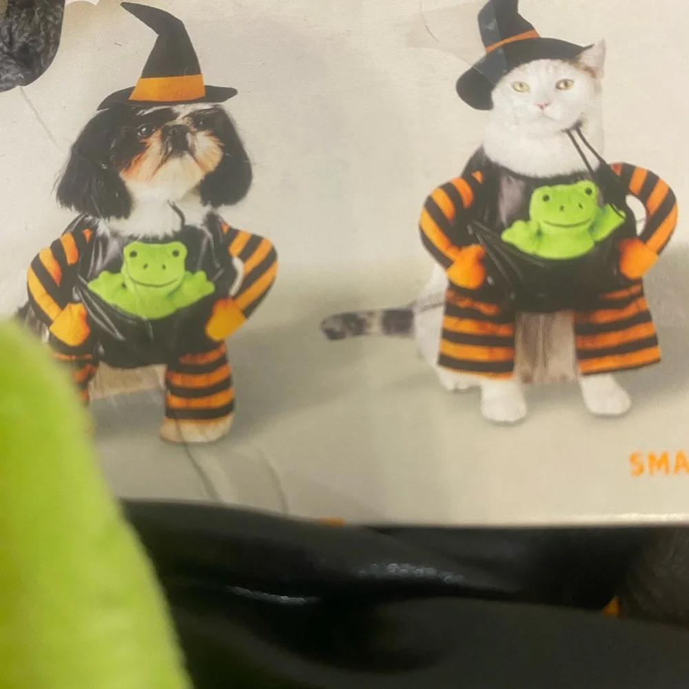 Hyde & EEK! adorable witch